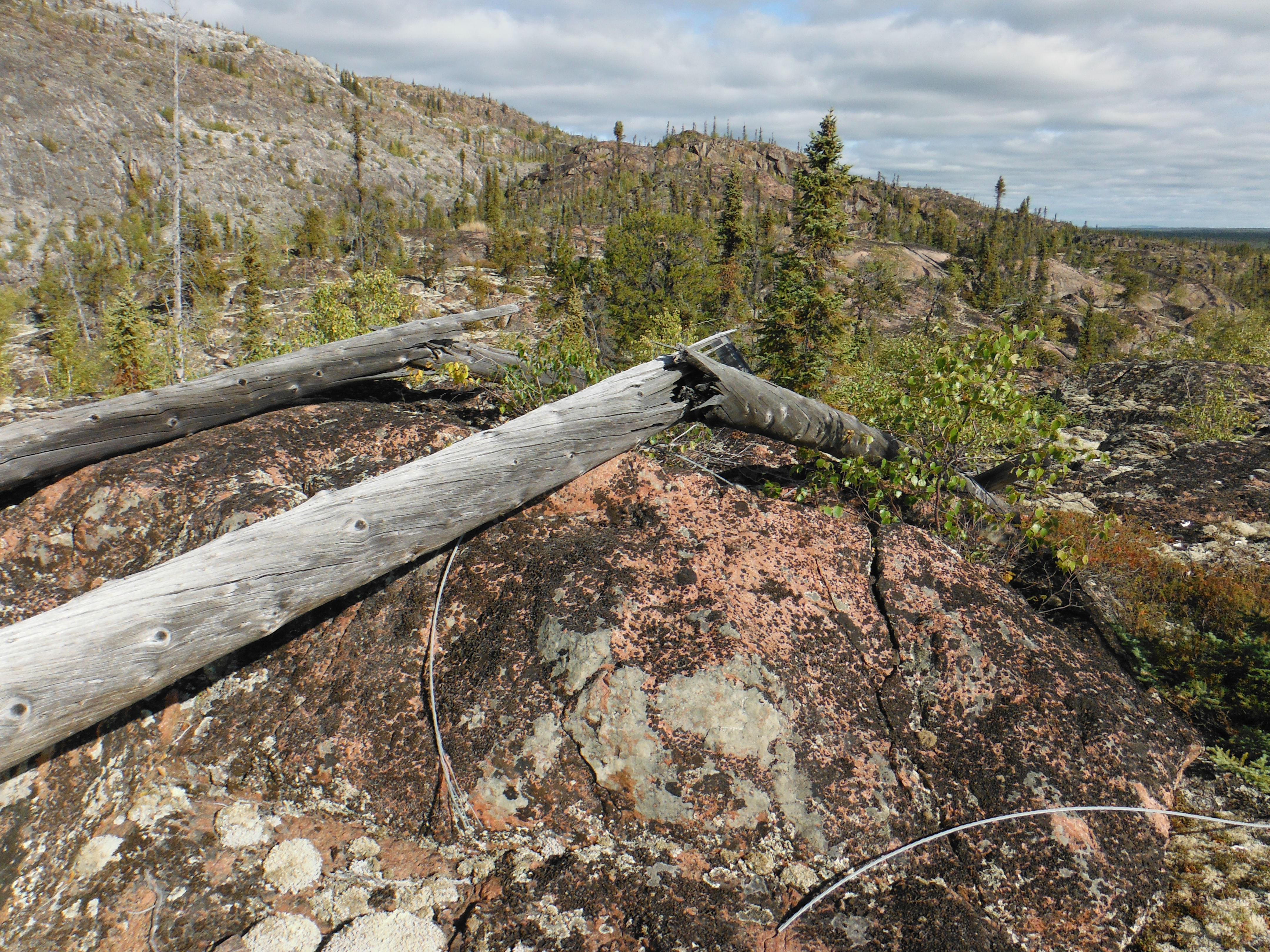 Environmental management fieldwork in northern Canada