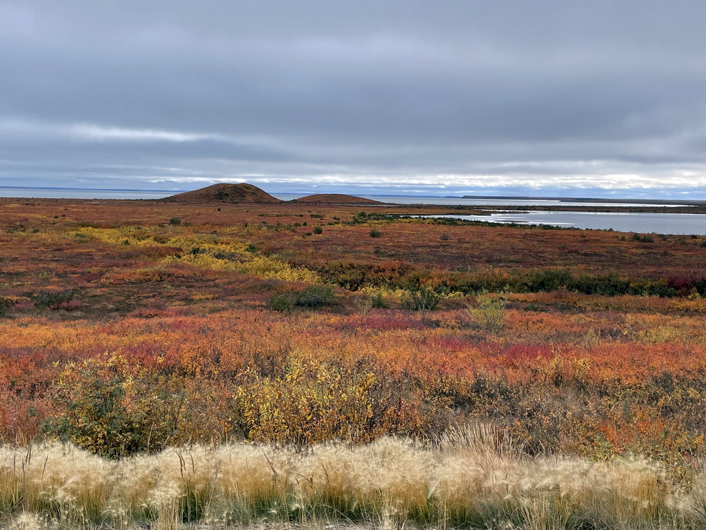 Autumn tundra and open water under northern skies, Northwest Territories