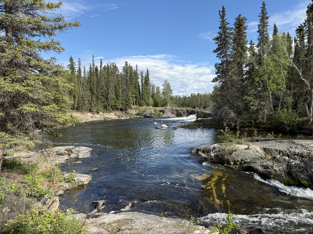 Northern river and aquatic habitat