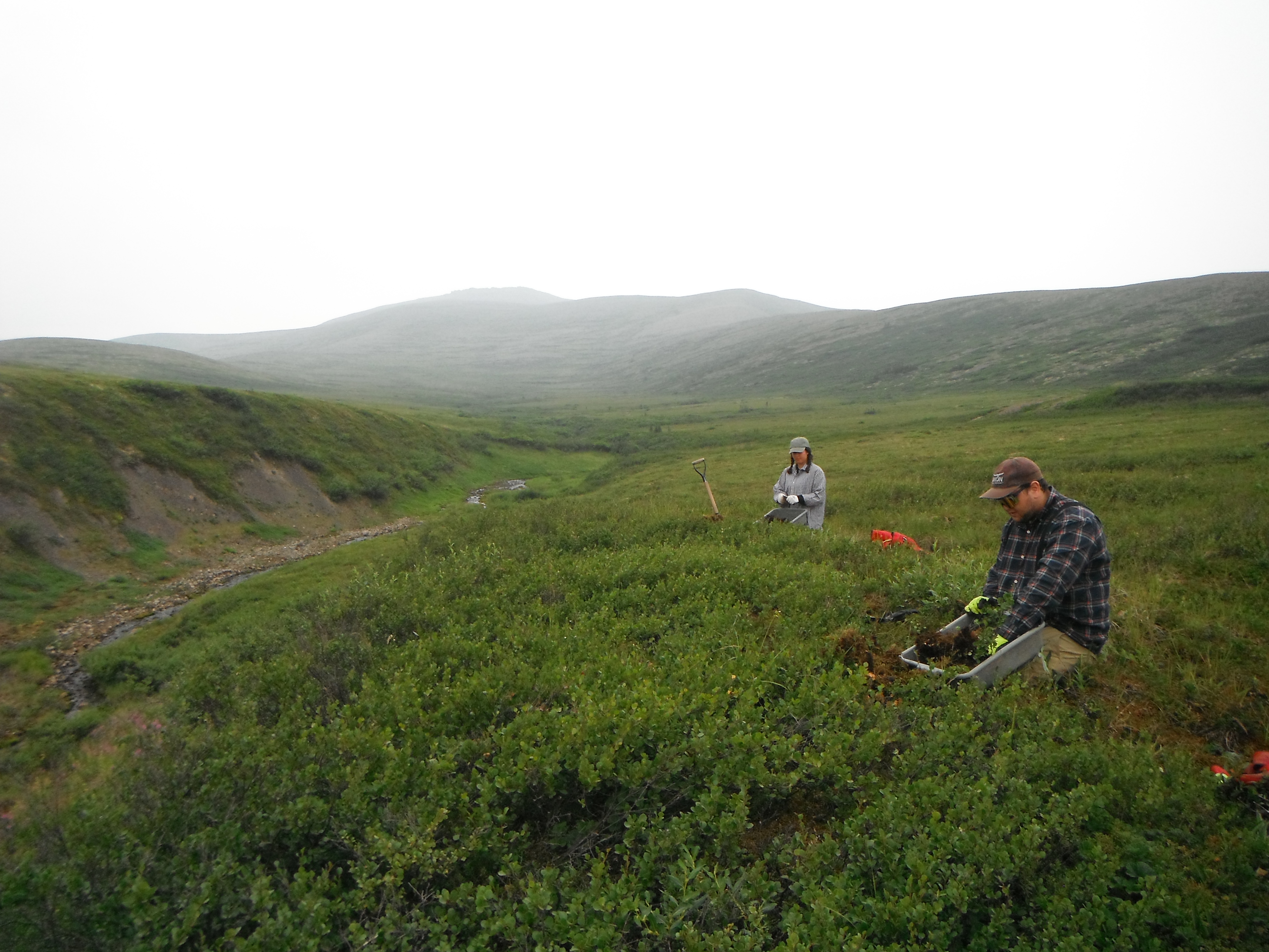 Environmental field team in northern Canada